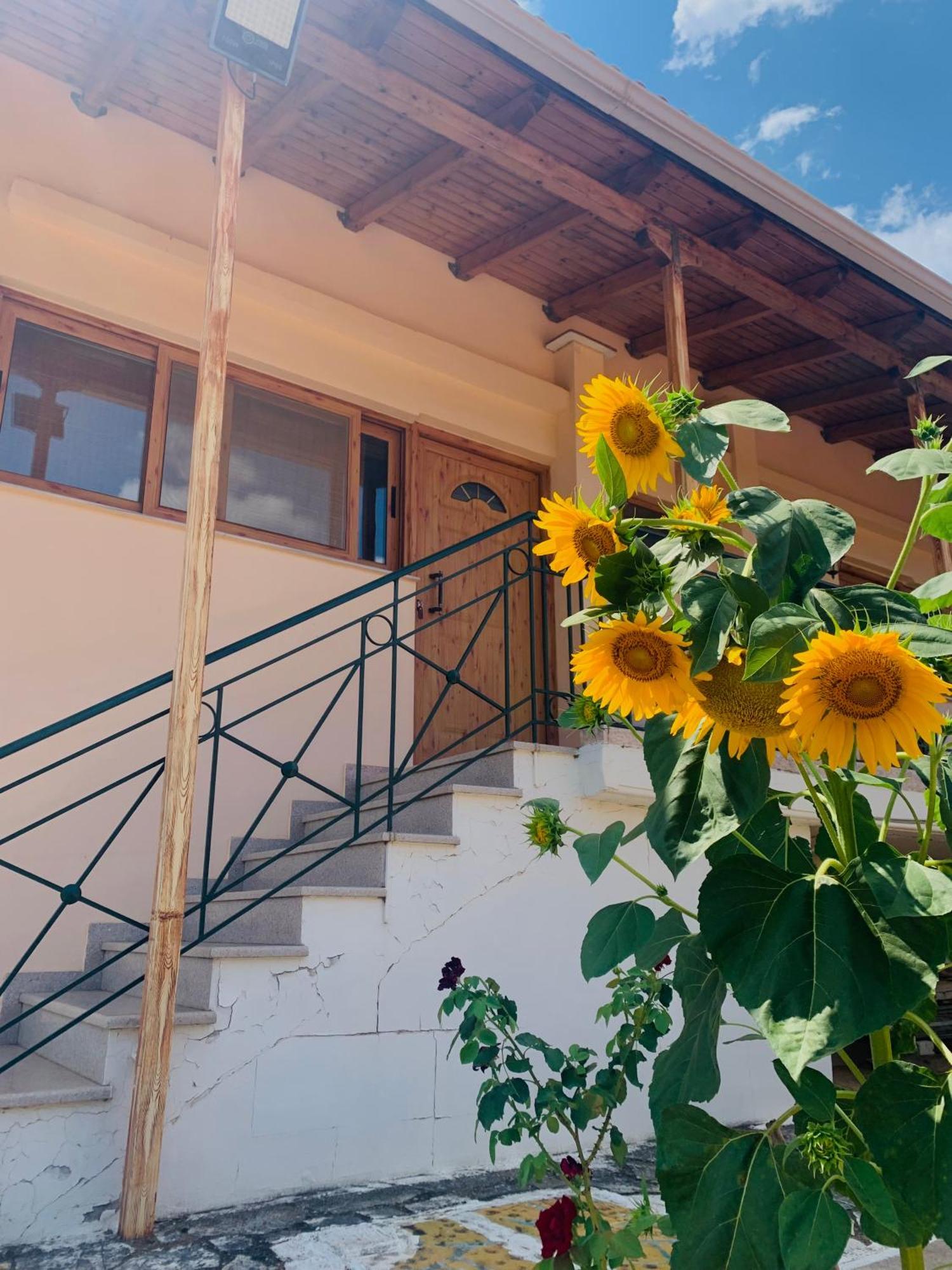 Ferienwohnung Bokas Exotic House Tragana  Exterior foto